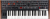 Dave Smith Instruments Prophet-6 Keyboard Фото 3