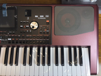 KORG PA1000 KORG PA1000 Фото 2