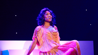 DPA 4188-DC-F-C10-LE Фото 2