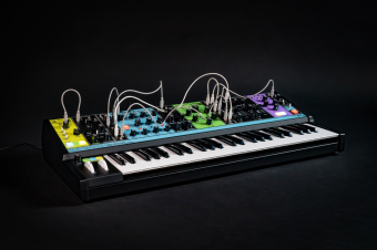 Moog Matriarch Фото 3