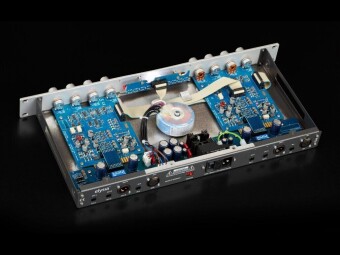 Elysia nvelope Фото 3