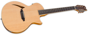 ESP LTD TL-6N Natural ESP LTD TL-6N Natural Фото 4