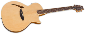 ESP LTD TL-6 Natural ESP LTD TL-6 Natural Фото 4