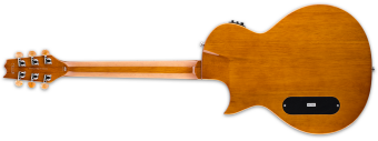 ESP LTD TL-6 Natural ESP LTD TL-6 Natural Фото 3