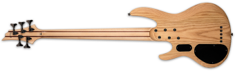 ESP LTD B-205SM FRETLESS Natural Satin ESP LTD B-205SM FRETLESS Natural Satin Фото 3