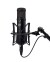 Warm Audio WA-47jr Black Фото 5