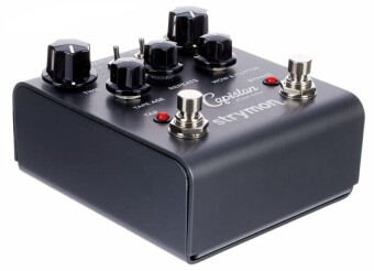 Strymon El Capistan dTape Delay Фото 7