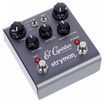Strymon El Capistan dTape Delay Фото 11
