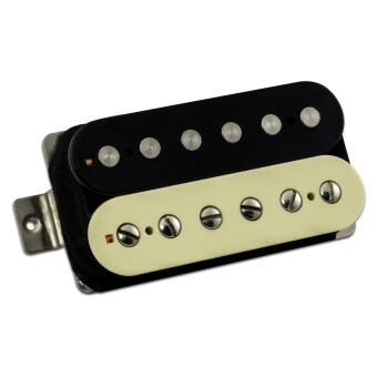 FRIEDMAN CLASSIC PLUS HUMBUCKERS Фото 3