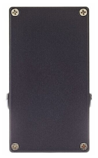 Friedman Golden Pearl Overdrive Friedman Golden Pearl Overdrive Фото 2