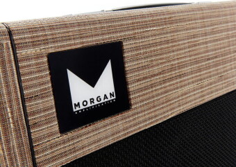 Morgan Amplification 112 Cab Driftwood Фото 2