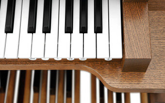 JOHANNUS Vivaldi 250 JOHANNUS Vivaldi 250 Фото 2