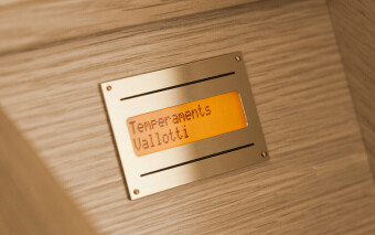 JOHANNUS Ecclesia T-150 + SP-5 Фото 3