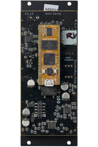 Noise Engineering Ruina Versio Noise Engineering Ruina Versio Фото 2