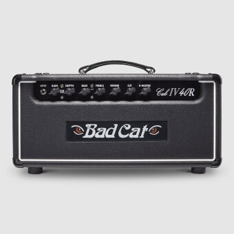 Bad Cat Cub IV 40 Head