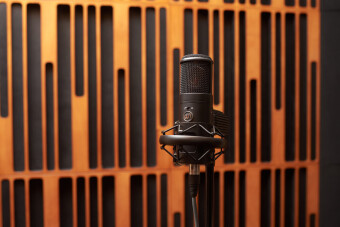 Warm Audio WA-8000 Фото 10