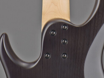 ESP Edwards Asterion 5 See Thru Black Satin ESP Edwards Asterion 5 See Thru Black Satin Фото 3