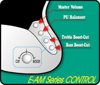 ESP Edwards E-AM-150QM See Thru Black ESP Edwards E-AM-150QM See Thru Black Фото 2