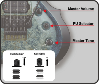 ESP Originals Japan FRX-CTM See Thru Black Sunburst ESP Originals Japan FRX-CTM See Thru Black Sunburst Фото 2