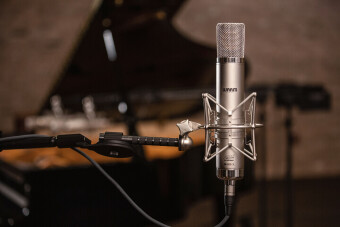 Warm Audio WA-CX12 Фото 3