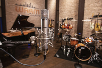 Warm Audio WA-CX12 Фото 2