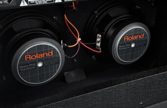 Roland JC-22 Фото 2