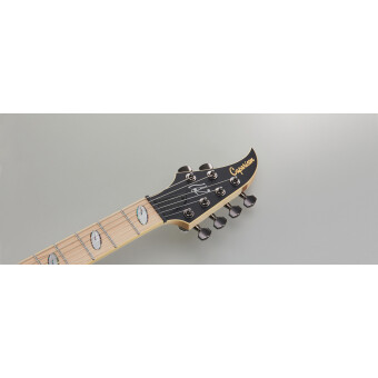 Caparison Horus-WB-FX MF  Trans. Charcoal Black Caparison Horus-WB-FX MF  Trans. Charcoal Black Фото 4
