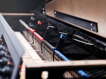 Rhodes MK8 Piano Фото 4