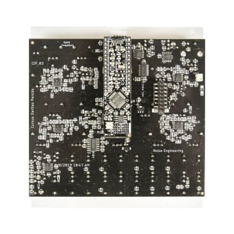 Noise Engineering Cursus Iteritas Percido silver Фото 7