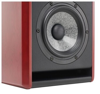 Focal Solo6 2022 Фото 4