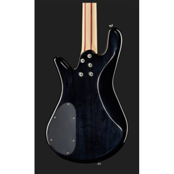 Spector Legend Standard 4 LG4STBKS BLACK STAIN Фото 7