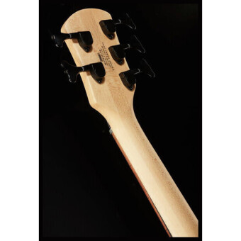 Spector Performer 5 PERF5BLK BLACK Фото 2