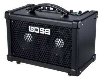 Roland Dual Cube Bass LX