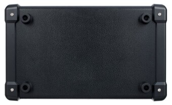 Roland Dual Cube Bass LX Фото 2