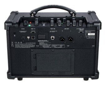 Roland Dual Cube Bass LX Фото 12
