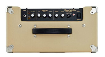 Roland Blues Cube Hot VB Фото 8