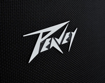 Peavey 212-6 Фото 4