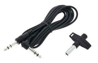 Roland PDA120-GE Фото 2