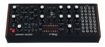 Moog Labyrinth Фото 16