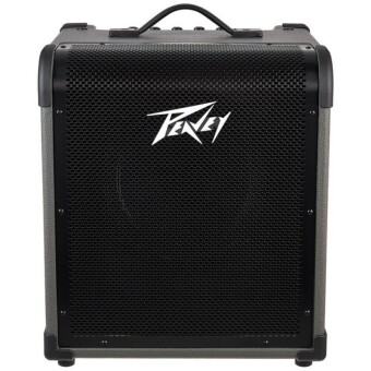 Peavey MAX100