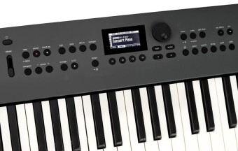 Roland GO:KEYS 5 Keyboard - Graphite Фото 6