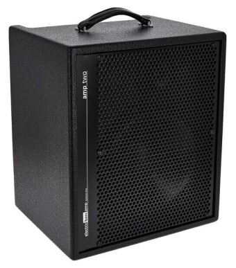 AER Amp Two Фото 12