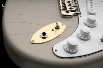 PRS Silver Sky Dead Spec Limited Edition Фото 5