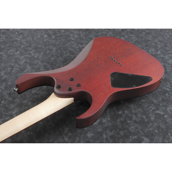 Ibanez RG421PB-CHF Caribbean Shoreline Flat Фото 2