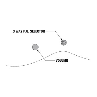 IBANEZ RGD3121-PRF Polar Lights Flat with Case IBANEZ RGD3121-PRF Polar Lights Flat with Case Фото 5