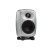 GENELEC G2BRwM Speaker G Two RAW Фото 5