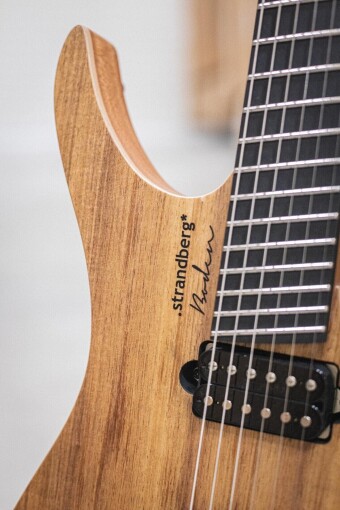 Strandberg Boden Prog NX 6 Plini Edition Strandberg Boden Prog NX 6 Plini Edition Фото 6