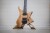 Strandberg Boden Prog NX 6 Plini Edition Фото 3