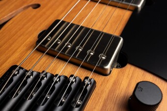 Strandberg Sälen Jazz NX 6 Black Фото 7