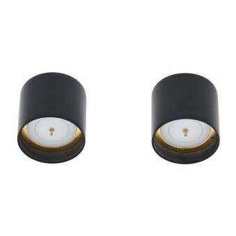 SE Electronics SE8 Omni Capsule Pair Фото 3